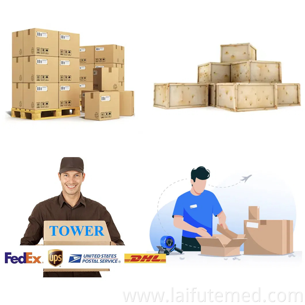 Folding Metal Collapsible Airline Approved Dog Kennel Crate for Large Pets